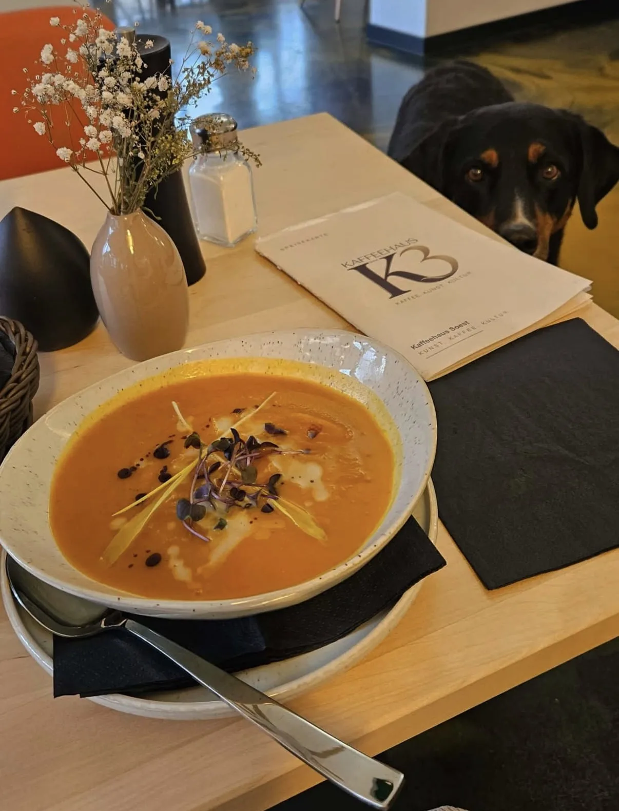 Kürbissuppe auf einem Holztisch, daneben die Karte des K3 und ein neugieriger Hund